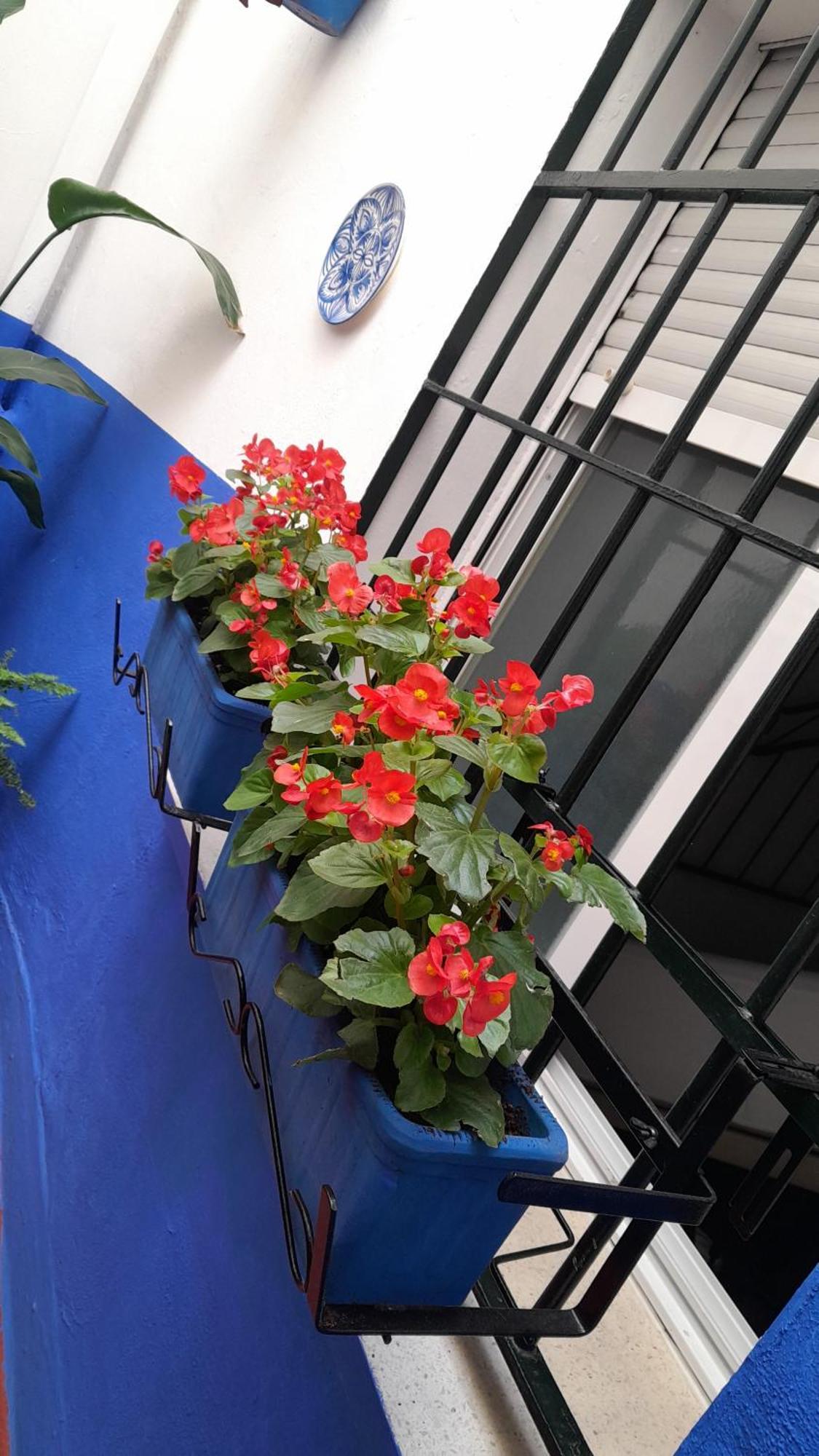 Puerta Sevilla Parking Gratis قرطبة المظهر الخارجي الصورة